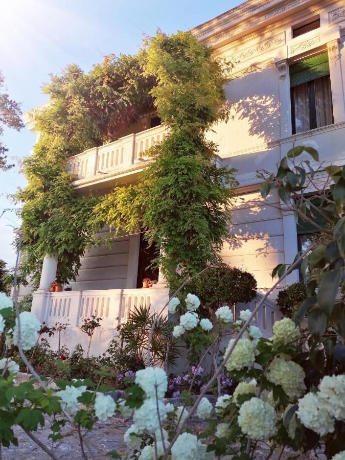 Villa Giordanelli Scalea Exterior foto